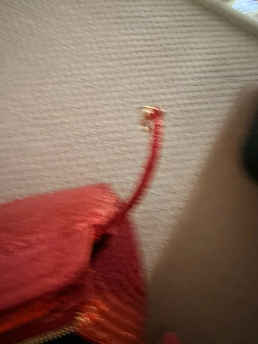 Brahmin Bright Red Croc-Embossed Tote with Gold Hardware